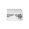 Picture of Cactus Row _GroupedProduct_Rectangle_Landscape_Photography _GroupedProduct_Rectangle_Landscape_Unframed_Print_Only_