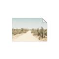 Picture of Cactus Row _GroupedProduct_Rectangle_Landscape_Photography _GroupedProduct_Rectangle_Landscape_Unframed_Print_Only_