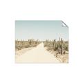 Picture of Cactus Row _GroupedProduct_Rectangle_Landscape_Photography _GroupedProduct_Rectangle_Landscape_Unframed_Print_Only_