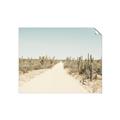 Picture of Cactus Row _GroupedProduct_Rectangle_Landscape_Photography _GroupedProduct_Rectangle_Landscape_Unframed_Print_Only_