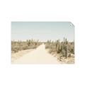 Picture of Cactus Row _GroupedProduct_Rectangle_Landscape_Photography _GroupedProduct_Rectangle_Landscape_Unframed_Print_Only_