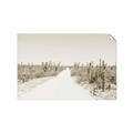 Picture of Cactus Row _GroupedProduct_Rectangle_Landscape_Photography _GroupedProduct_Rectangle_Landscape_Unframed_Print_Only_