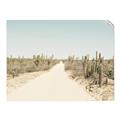Picture of Cactus Row _GroupedProduct_Rectangle_Landscape_Photography _GroupedProduct_Rectangle_Landscape_Unframed_Print_Only_