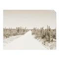 Picture of Cactus Row _GroupedProduct_Rectangle_Landscape_Photography _GroupedProduct_Rectangle_Landscape_Unframed_Print_Only_