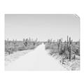 Picture of Cactus Row _GroupedProduct_Rectangle_Landscape_Photography _GroupedProduct_Rectangle_Landscape_Unframed_Print_Only_