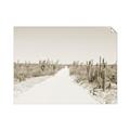 Picture of Cactus Row _GroupedProduct_Rectangle_Landscape_Photography _GroupedProduct_Rectangle_Landscape_Unframed_Print_Only_