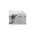 Picture of Camel Walk _GroupedProduct_Rectangle_Landscape_Photography _GroupedProduct_Rectangle_Landscape_Unframed_Print_Only_