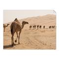 Picture of Camel Walk _GroupedProduct_Rectangle_Landscape_Photography _GroupedProduct_Rectangle_Landscape_Unframed_Print_Only_