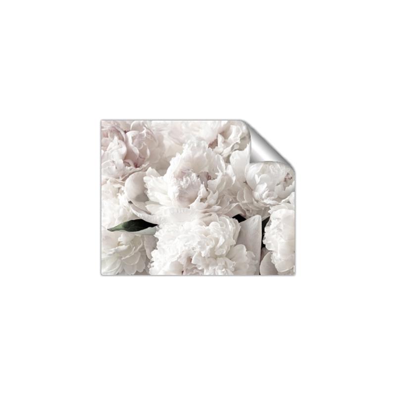 Picture of Fluffy Florals _GroupedProduct_Rectangle_Landscape_Photography _GroupedProduct_Rectangle_Landscape_Unframed_Print_Only_