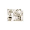 Picture of Fluffy Florals _GroupedProduct_Rectangle_Landscape_Photography _GroupedProduct_Rectangle_Landscape_Unframed_Print_Only_