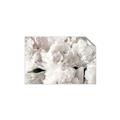Picture of Fluffy Florals _GroupedProduct_Rectangle_Landscape_Photography _GroupedProduct_Rectangle_Landscape_Unframed_Print_Only_
