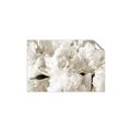 Picture of Fluffy Florals _GroupedProduct_Rectangle_Landscape_Photography _GroupedProduct_Rectangle_Landscape_Unframed_Print_Only_