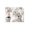 Picture of Fluffy Florals _GroupedProduct_Rectangle_Landscape_Photography _GroupedProduct_Rectangle_Landscape_Unframed_Print_Only_