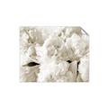 Picture of Fluffy Florals _GroupedProduct_Rectangle_Landscape_Photography _GroupedProduct_Rectangle_Landscape_Unframed_Print_Only_