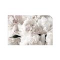Picture of Fluffy Florals _GroupedProduct_Rectangle_Landscape_Photography _GroupedProduct_Rectangle_Landscape_Unframed_Print_Only_