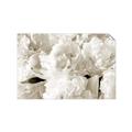 Picture of Fluffy Florals _GroupedProduct_Rectangle_Landscape_Photography _GroupedProduct_Rectangle_Landscape_Unframed_Print_Only_