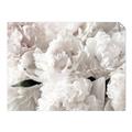Picture of Fluffy Florals _GroupedProduct_Rectangle_Landscape_Photography _GroupedProduct_Rectangle_Landscape_Unframed_Print_Only_