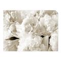 Picture of Fluffy Florals _GroupedProduct_Rectangle_Landscape_Photography _GroupedProduct_Rectangle_Landscape_Unframed_Print_Only_