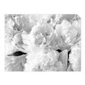 Picture of Fluffy Florals _GroupedProduct_Rectangle_Landscape_Photography _GroupedProduct_Rectangle_Landscape_Unframed_Print_Only_