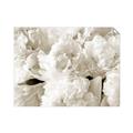 Picture of Fluffy Florals _GroupedProduct_Rectangle_Landscape_Photography _GroupedProduct_Rectangle_Landscape_Unframed_Print_Only_