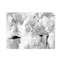 Picture of Fluffy Florals _GroupedProduct_Rectangle_Landscape_Photography _GroupedProduct_Rectangle_Landscape_Unframed_Print_Only_