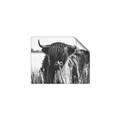 Picture of Bull in the Grass _GroupedProduct_Rectangle_Landscape_Photography _GroupedProduct_Rectangle_Landscape_Unframed_Print_Only_
