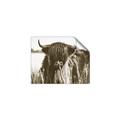 Picture of Bull in the Grass _GroupedProduct_Rectangle_Landscape_Photography _GroupedProduct_Rectangle_Landscape_Unframed_Print_Only_