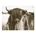 Picture of Bull in the Grass _GroupedProduct_Rectangle_Landscape_Photography _GroupedProduct_Rectangle_Landscape_Unframed_Print_Only_