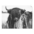 Picture of Bull in the Grass _GroupedProduct_Rectangle_Landscape_Photography _GroupedProduct_Rectangle_Landscape_Unframed_Print_Only_