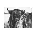 Picture of Bull in the Grass _GroupedProduct_Rectangle_Landscape_Photography _GroupedProduct_Rectangle_Landscape_Unframed_Print_Only_