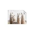 Picture of Llama Fam _GroupedProduct_Rectangle_Landscape_Photography _GroupedProduct_Rectangle_Landscape_Unframed_Print_Only_