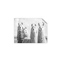 Picture of Llama Fam _GroupedProduct_Rectangle_Landscape_Photography _GroupedProduct_Rectangle_Landscape_Unframed_Print_Only_