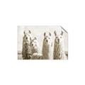 Picture of Llama Fam _GroupedProduct_Rectangle_Landscape_Photography _GroupedProduct_Rectangle_Landscape_Unframed_Print_Only_