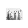 Picture of Llama Fam _GroupedProduct_Rectangle_Landscape_Photography _GroupedProduct_Rectangle_Landscape_Unframed_Print_Only_