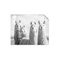 Picture of Llama Fam _GroupedProduct_Rectangle_Landscape_Photography _GroupedProduct_Rectangle_Landscape_Unframed_Print_Only_