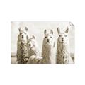 Picture of Llama Fam _GroupedProduct_Rectangle_Landscape_Photography _GroupedProduct_Rectangle_Landscape_Unframed_Print_Only_
