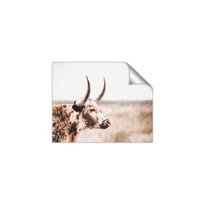Picture of Annie, the Spotted Cow III _GroupedProduct_Rectangle_Landscape_Photography _GroupedProduct_Rectangle_Landscape_Unframed_Print_Only_