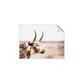 Picture of Annie, the Spotted Cow III _GroupedProduct_Rectangle_Landscape_Photography _GroupedProduct_Rectangle_Landscape_Unframed_Print_Only_