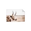 Picture of Annie, the Spotted Cow III _GroupedProduct_Rectangle_Landscape_Photography _GroupedProduct_Rectangle_Landscape_Unframed_Print_Only_