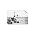 Picture of Annie, the Spotted Cow III _GroupedProduct_Rectangle_Landscape_Photography _GroupedProduct_Rectangle_Landscape_Unframed_Print_Only_