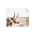 Picture of Annie, the Spotted Cow III _GroupedProduct_Rectangle_Landscape_Photography _GroupedProduct_Rectangle_Landscape_Unframed_Print_Only_