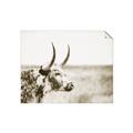 Picture of Annie, the Spotted Cow III _GroupedProduct_Rectangle_Landscape_Photography _GroupedProduct_Rectangle_Landscape_Unframed_Print_Only_