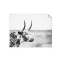 Picture of Annie, the Spotted Cow III _GroupedProduct_Rectangle_Landscape_Photography _GroupedProduct_Rectangle_Landscape_Unframed_Print_Only_