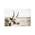 Picture of Annie, the Spotted Cow III _GroupedProduct_Rectangle_Landscape_Photography _GroupedProduct_Rectangle_Landscape_Unframed_Print_Only_