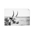 Picture of Annie, the Spotted Cow III _GroupedProduct_Rectangle_Landscape_Photography _GroupedProduct_Rectangle_Landscape_Unframed_Print_Only_