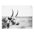 Picture of Annie, the Spotted Cow III _GroupedProduct_Rectangle_Landscape_Photography _GroupedProduct_Rectangle_Landscape_Unframed_Print_Only_