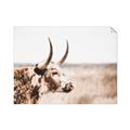 Picture of Annie, the Spotted Cow III _GroupedProduct_Rectangle_Landscape_Photography _GroupedProduct_Rectangle_Landscape_Unframed_Print_Only_