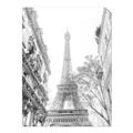 Picture of Paris in the Fall _GroupedProduct_Rectangle_Portrait_Photography _GroupedProduct_Rectangle_Portrait_Unframed_Print_Only_