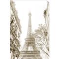 Picture of Paris in the Fall _GroupedProduct_Rectangle_Portrait_Photography _GroupedProduct_Rectangle_Portrait_Unframed_Print_Only_