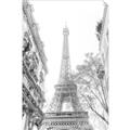 Picture of Paris in the Fall _GroupedProduct_Rectangle_Portrait_Photography _GroupedProduct_Rectangle_Portrait_Unframed_Print_Only_